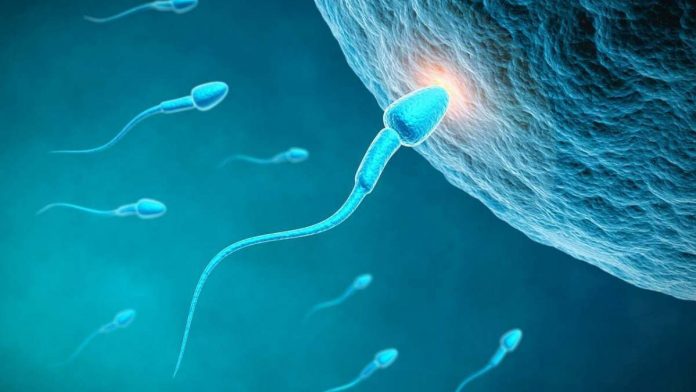 How AI May Be a Powerful Tool in Treating Male Infertility